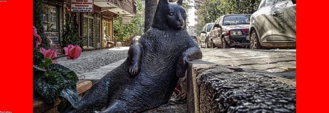 iCapSolutions — cloud and DevSecOps technology solutions